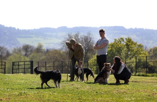 Duck herding experience'